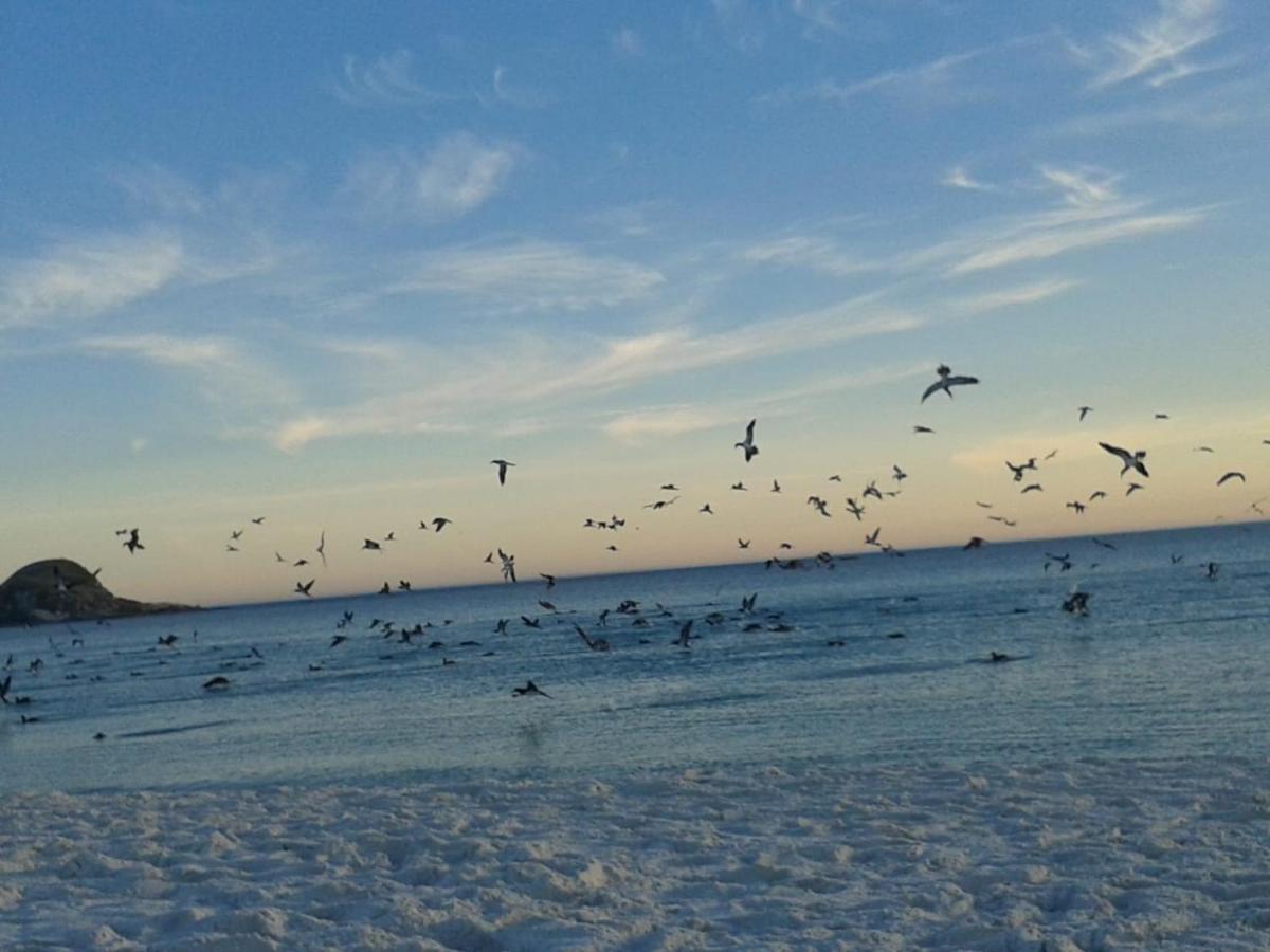 De Frente Para O Caribe Brasileiro. Arraial do Cabo Eksteriør billede